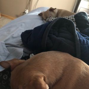 Meet your Posher, Ronna